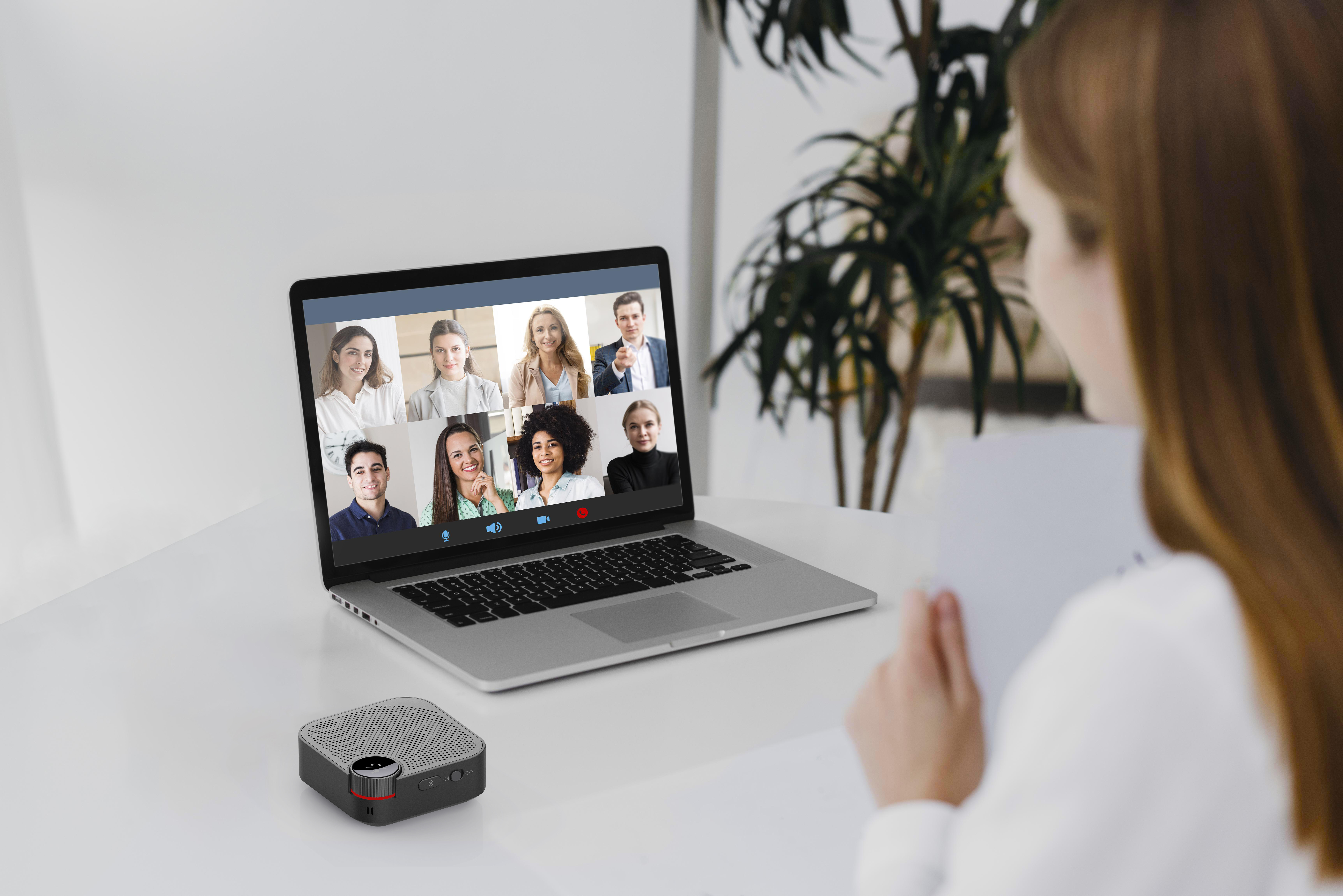 MS12 team-meeting-online-conference-call-laptop